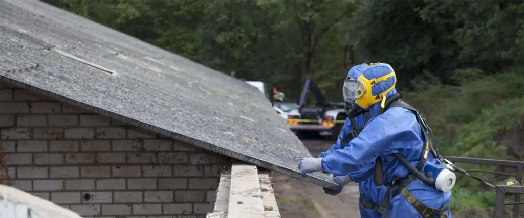 blue ppe two workers being safe whilst looking at asbestos roof